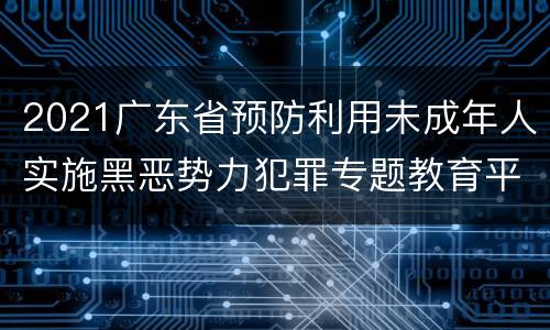 2021广东省预防利用未成年人实施黑恶势力犯罪专题教育平台