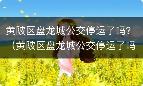 黄陂区盘龙城公交停运了吗？（黄陂区盘龙城公交停运了吗最新）
