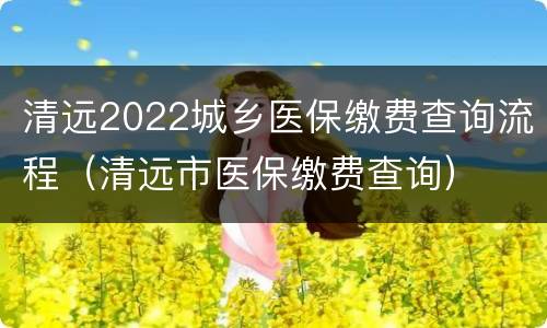 清远2022城乡医保缴费查询流程（清远市医保缴费查询）