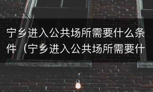 宁乡进入公共场所需要什么条件（宁乡进入公共场所需要什么条件和要求）