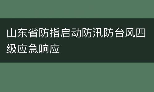 山东省防指启动防汛防台风四级应急响应