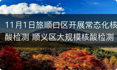 11月1日旅顺口区开展常态化核酸检测 顺义区大规模核酸检测