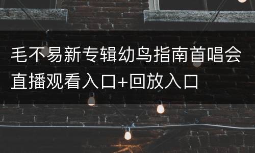 毛不易新专辑幼鸟指南首唱会直播观看入口+回放入口
