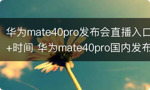 华为mate40pro发布会直播入口+时间 华为mate40pro国内发布会直播