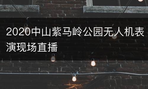 2020中山紫马岭公园无人机表演现场直播