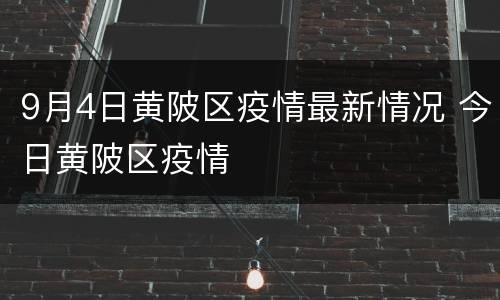 9月4日黄陂区疫情最新情况 今日黄陂区疫情