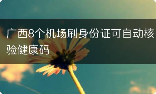 广西8个机场刷身份证可自动核验健康码