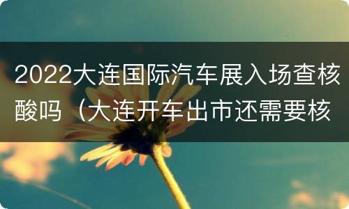 2022大连国际汽车展入场查核酸吗（大连开车出市还需要核酸检测吗）