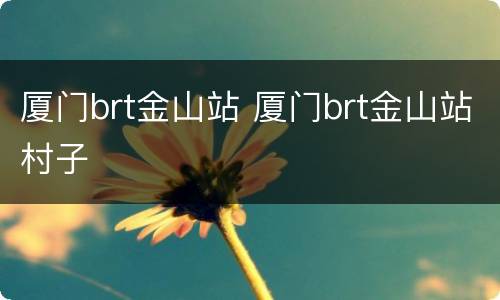 厦门brt金山站 厦门brt金山站村子