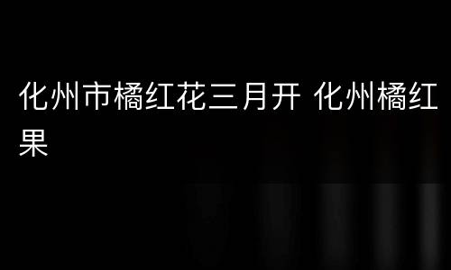 化州市橘红花三月开 化州橘红果