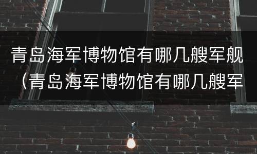 青岛海军博物馆有哪几艘军舰（青岛海军博物馆有哪几艘军舰参观）