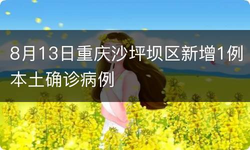 8月13日重庆沙坪坝区新增1例本土确诊病例