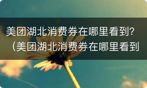 美团湖北消费券在哪里看到？（美团湖北消费券在哪里看到余额）
