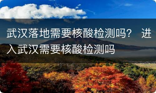 武汉落地需要核酸检测吗？ 进入武汉需要核酸检测吗