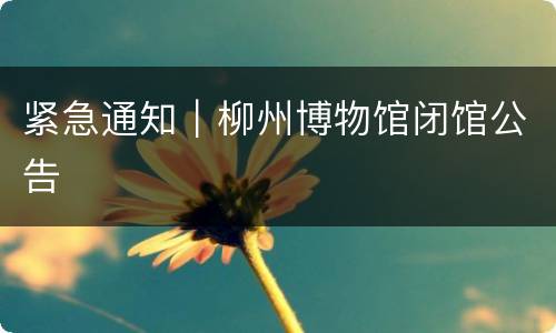 紧急通知｜柳州博物馆闭馆公告