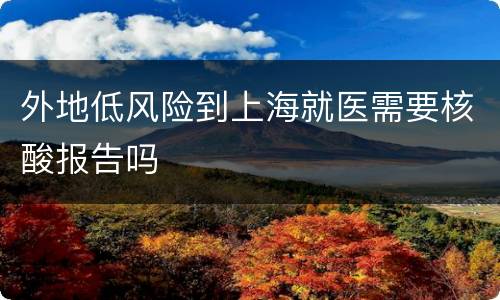 外地低风险到上海就医需要核酸报告吗