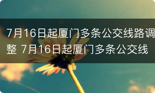 7月16日起厦门多条公交线路调整 7月16日起厦门多条公交线路调整情况