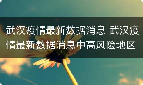 武汉疫情最新数据消息 武汉疫情最新数据消息中高风险地区