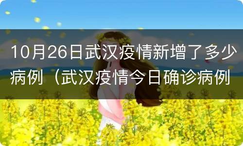 10月26日武汉疫情新增了多少病例（武汉疫情今日确诊病例）