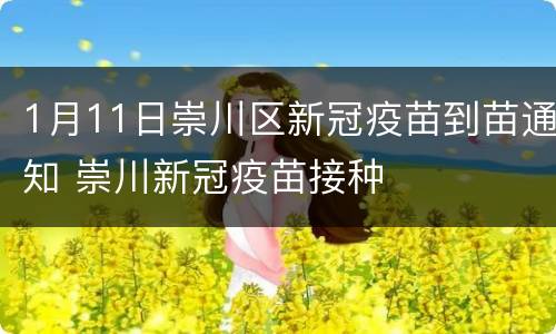 1月11日崇川区新冠疫苗到苗通知 崇川新冠疫苗接种