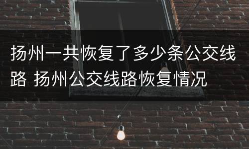 扬州一共恢复了多少条公交线路 扬州公交线路恢复情况