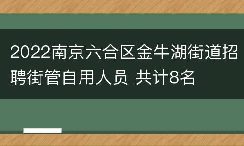 2022南京六合区金牛湖街道招聘街管自用人员 共计8名