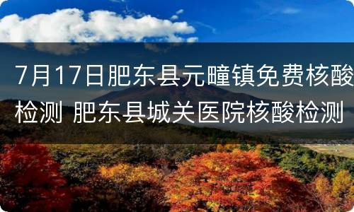 7月17日肥东县元疃镇免费核酸检测 肥东县城关医院核酸检测