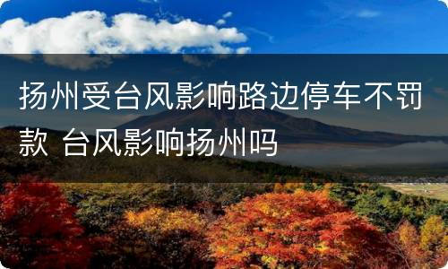 扬州受台风影响路边停车不罚款 台风影响扬州吗