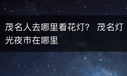 茂名人去哪里看花灯？ 茂名灯光夜市在哪里