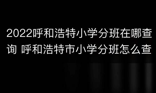 2022呼和浩特小学分班在哪查询 呼和浩特市小学分班怎么查询