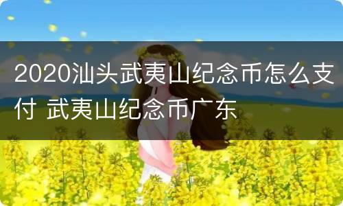2020汕头武夷山纪念币怎么支付 武夷山纪念币广东