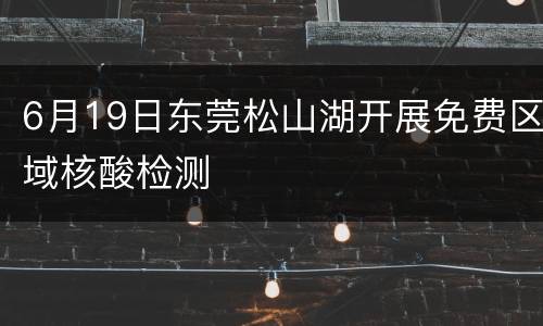 6月19日东莞松山湖开展免费区域核酸检测