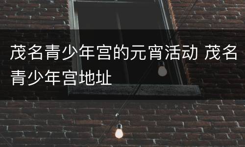 茂名青少年宫的元宵活动 茂名青少年宫地址