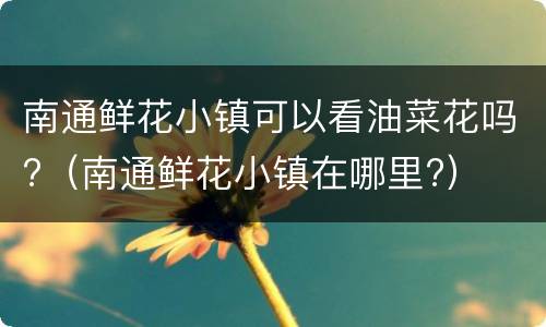 南通鲜花小镇可以看油菜花吗?（南通鲜花小镇在哪里?）