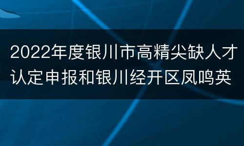2022年度银川市高精尖缺人才认定申报和银川经开区凤鸣英才举荐通知