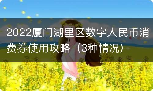 2022厦门湖里区数字人民币消费券使用攻略（3种情况）