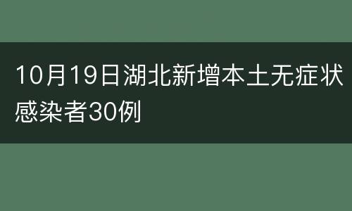 10月19日湖北新增本土无症状感染者30例