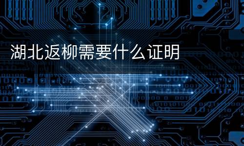 湖北返柳需要什么证明