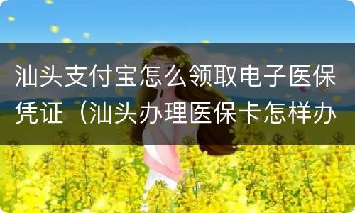 汕头支付宝怎么领取电子医保凭证（汕头办理医保卡怎样办）