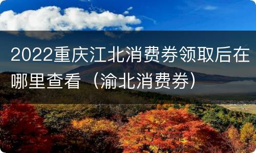 2022重庆江北消费券领取后在哪里查看（渝北消费券）