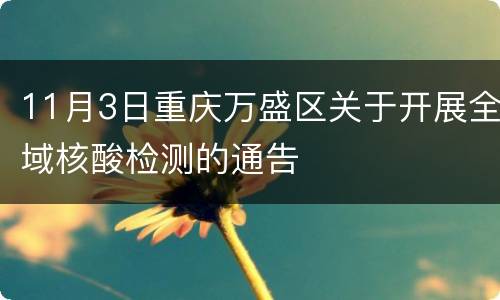 11月3日重庆万盛区关于开展全域核酸检测的通告