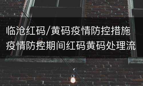 临沧红码/黄码疫情防控措施 疫情防控期间红码黄码处理流程
