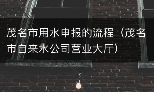 茂名市用水申报的流程（茂名市自来水公司营业大厅）