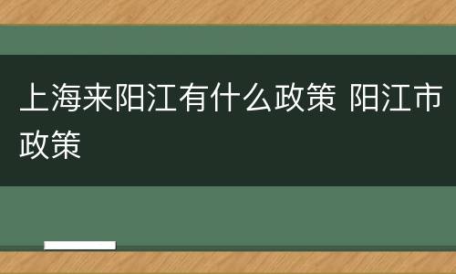 上海来阳江有什么政策 阳江市政策