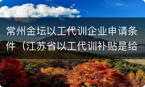 常州金坛以工代训企业申请条件（江苏省以工代训补贴是给员工还是企业）