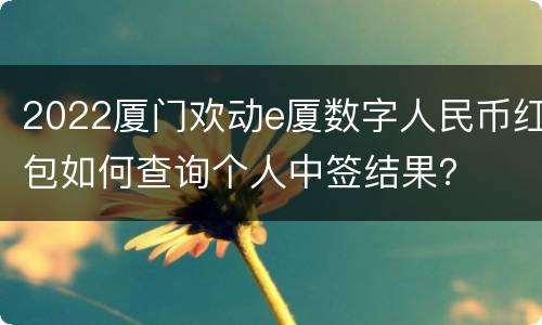 2022厦门欢动e厦数字人民币红包如何查询个人中签结果？