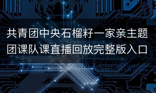 共青团中央石榴籽一家亲主题团课队课直播回放完整版入口