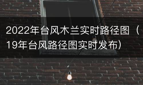 2022年台风木兰实时路径图（19年台风路径图实时发布）