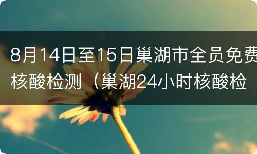8月14日至15日巢湖市全员免费核酸检测（巢湖24小时核酸检测机构）