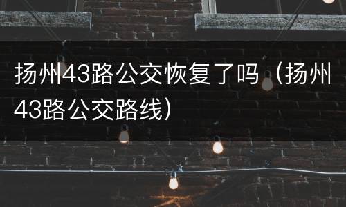 扬州43路公交恢复了吗（扬州43路公交路线）